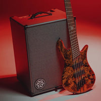 Angled front view of Darkglass Microtubes 500 Combo 210 Bass Amplifier with bass leaning on it in studio