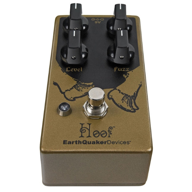 EQD Hoof Pedal Angle