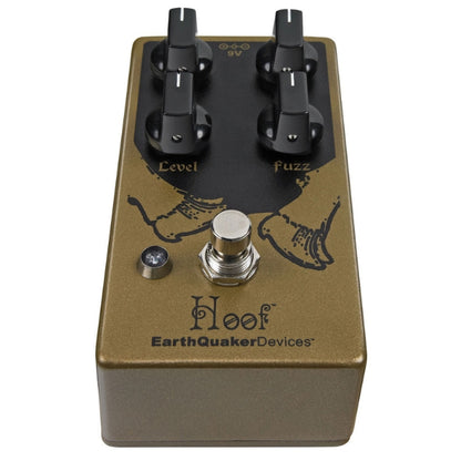 EQD Hoof Pedal Angle