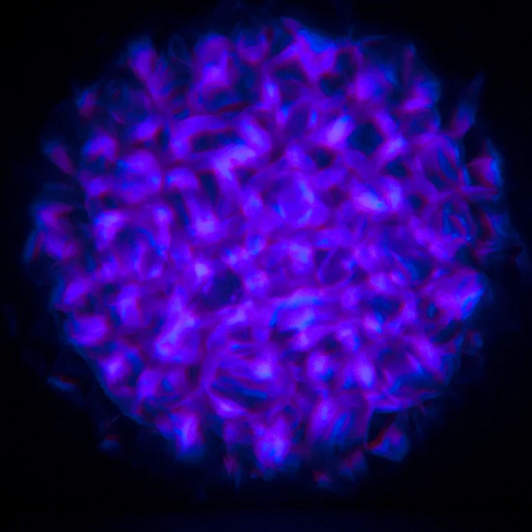 Blue light pattern of Eliminator Lighting Aqua LED 2