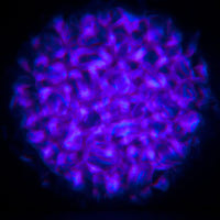 Blue light pattern of Eliminator Lighting Aqua LED 2