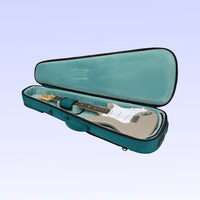 Guitar in a teal case on a light purple background