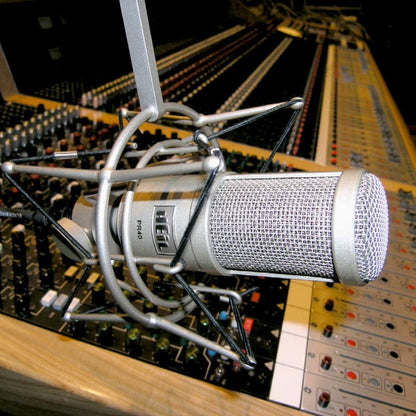 Heil Sound PR 40 Microphone