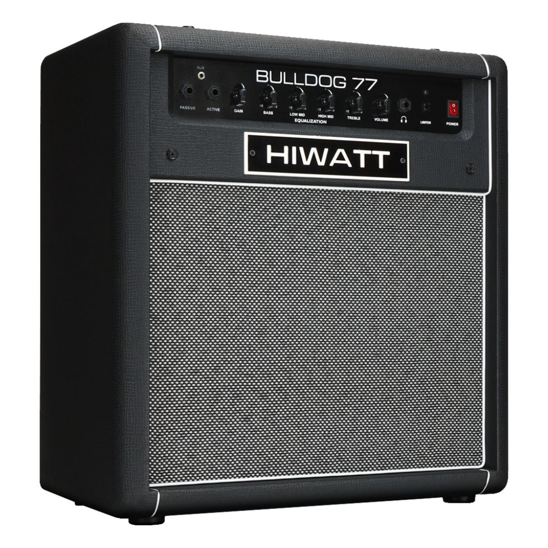 Angled front view of Hiwatt Bulldog 77 Combo Bass Amplifier on white background