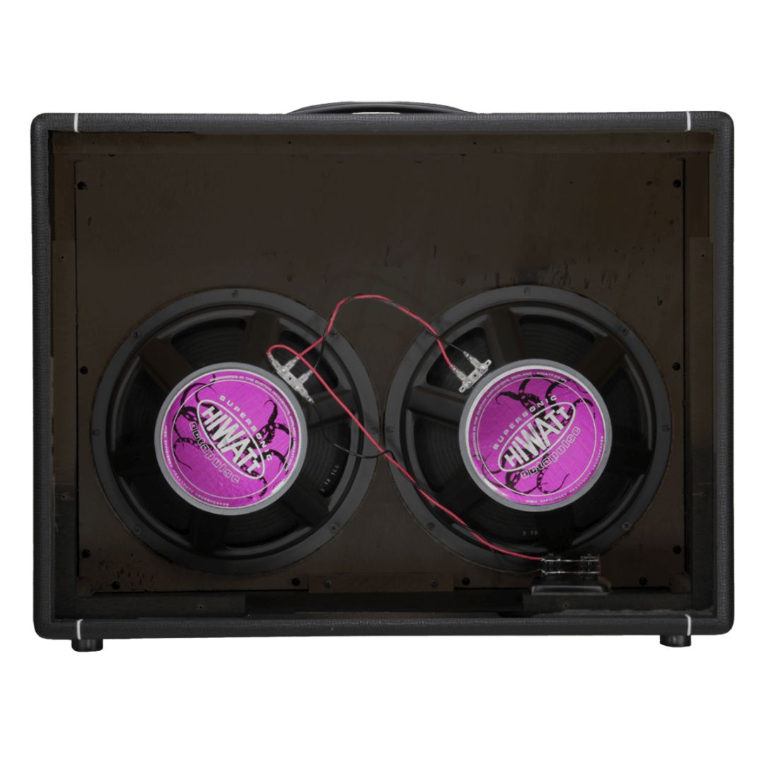Rear view of Hiwatt HG212 Speaker Cabinet with exposed speakers on white background