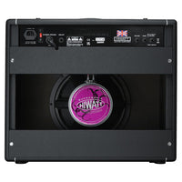 Rear ports view of Hiwatt Leeds 50R Combo Guitar Amplifier on white background