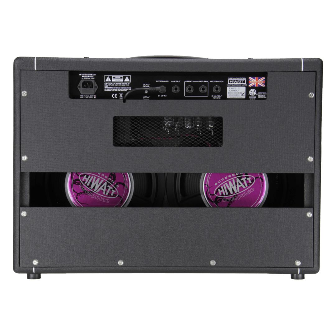 Rear view of Hiwatt T40/20 Combo 2x12 Guitar Amplifier on white background