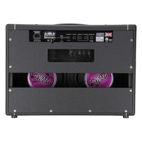 Rear view of Hiwatt T40/20 Combo 2x12 Guitar Amplifier on white background