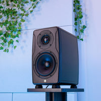 Angled view of IK Multimedia iLoud Precision 5 MKII on speaker stand with bluish white wall background with vines