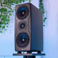 Angled view of IK Multimedia iLoud Precision MTM MKII on speaker stands with bluish white background and vines