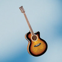 Jay Turser JTA-424QCET Acoustic Electric Guitar