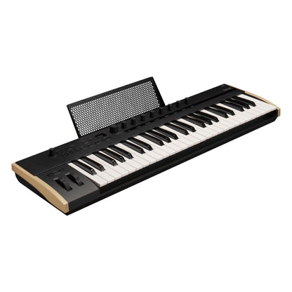 Angled view of Korg Keystage Poly AT MIDI Keyboard 49 Keys with Music Stand up on white background