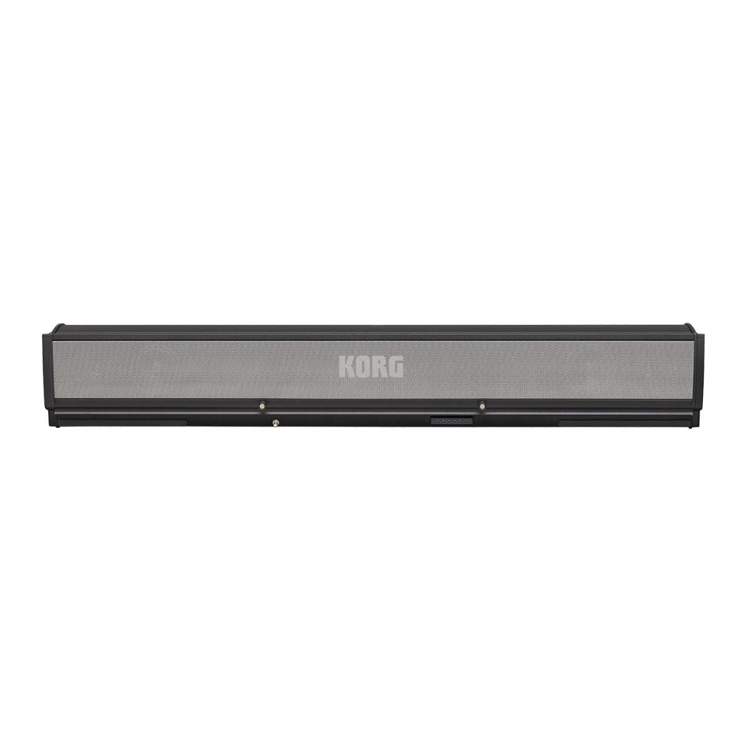 Front view of Korg PaAS MK2 on white background