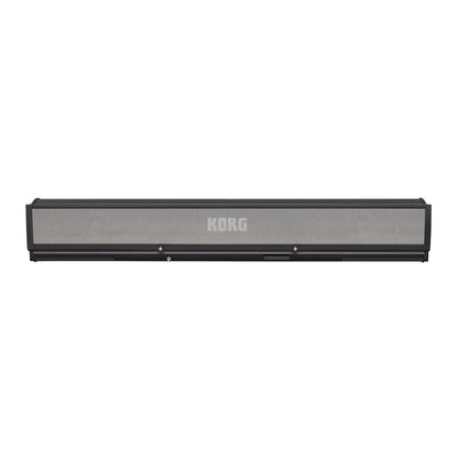 Front view of Korg PaAS MK2 on white background