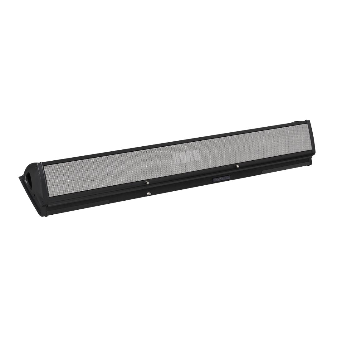 Angled view of Korg PaAS MK2 on white background