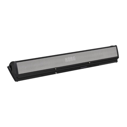 Angled view of Korg PaAS MK2 on white background