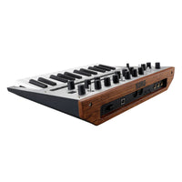 Angled rear view of Korg monologue Monophonic Analogue Synthesizer Silver on white background