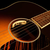 LR Baggs Anthem Acoustic Guitar Pickup and Microphone System