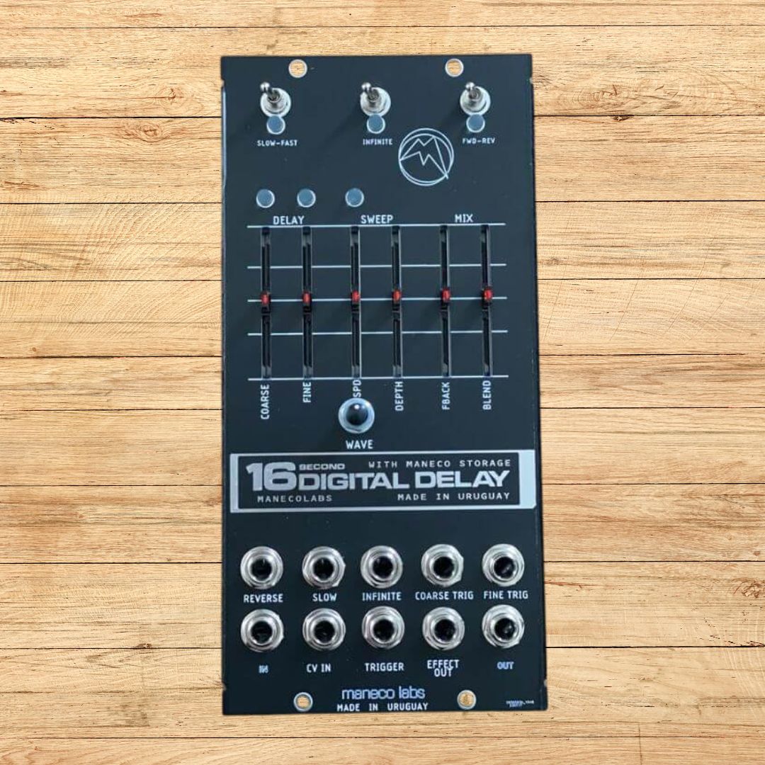 Front view of Maneco Labs 16 Seconds Digital Delay Moog 5U Module on wooden background