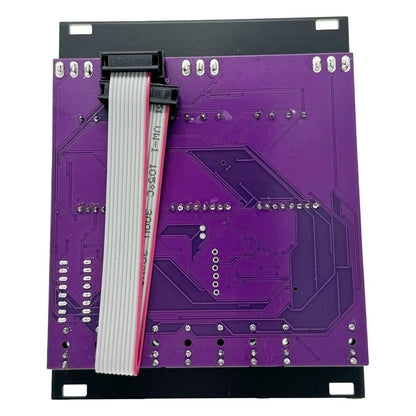 Rear view of Maneco Labs 16 Seconds Digital Delay Vintage Eurorack Module on white background