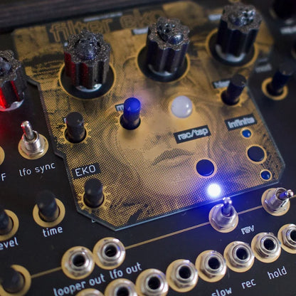 Angled close up front view of Maneco Labs Filter Eko Module on eurorack