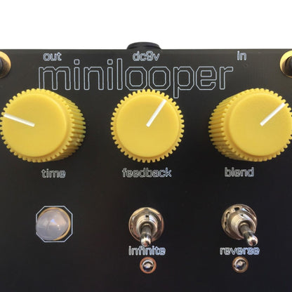 Close up front view of Mini Looper Pedal on white background