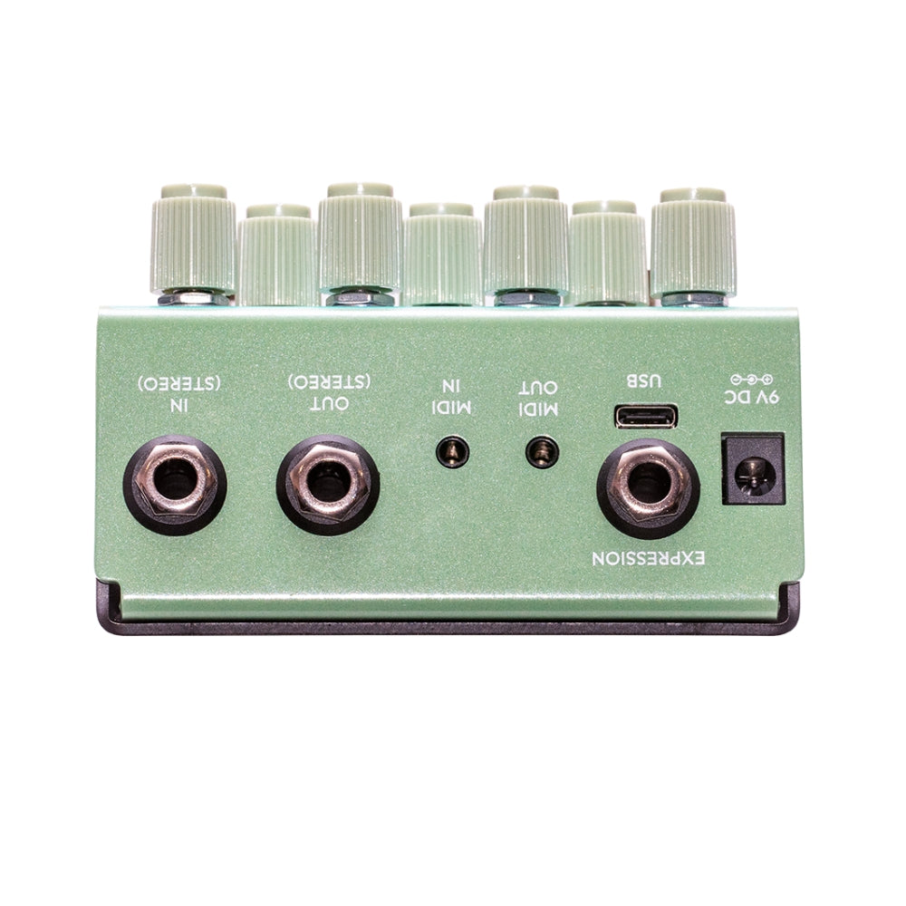 Old Blood Noise Bathing Delay Algae Back on a White Background