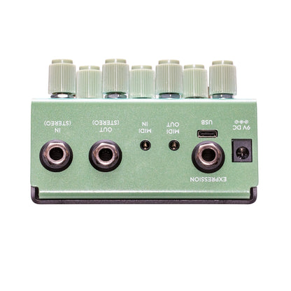 Old Blood Noise Bathing Delay Algae Back on a White Background