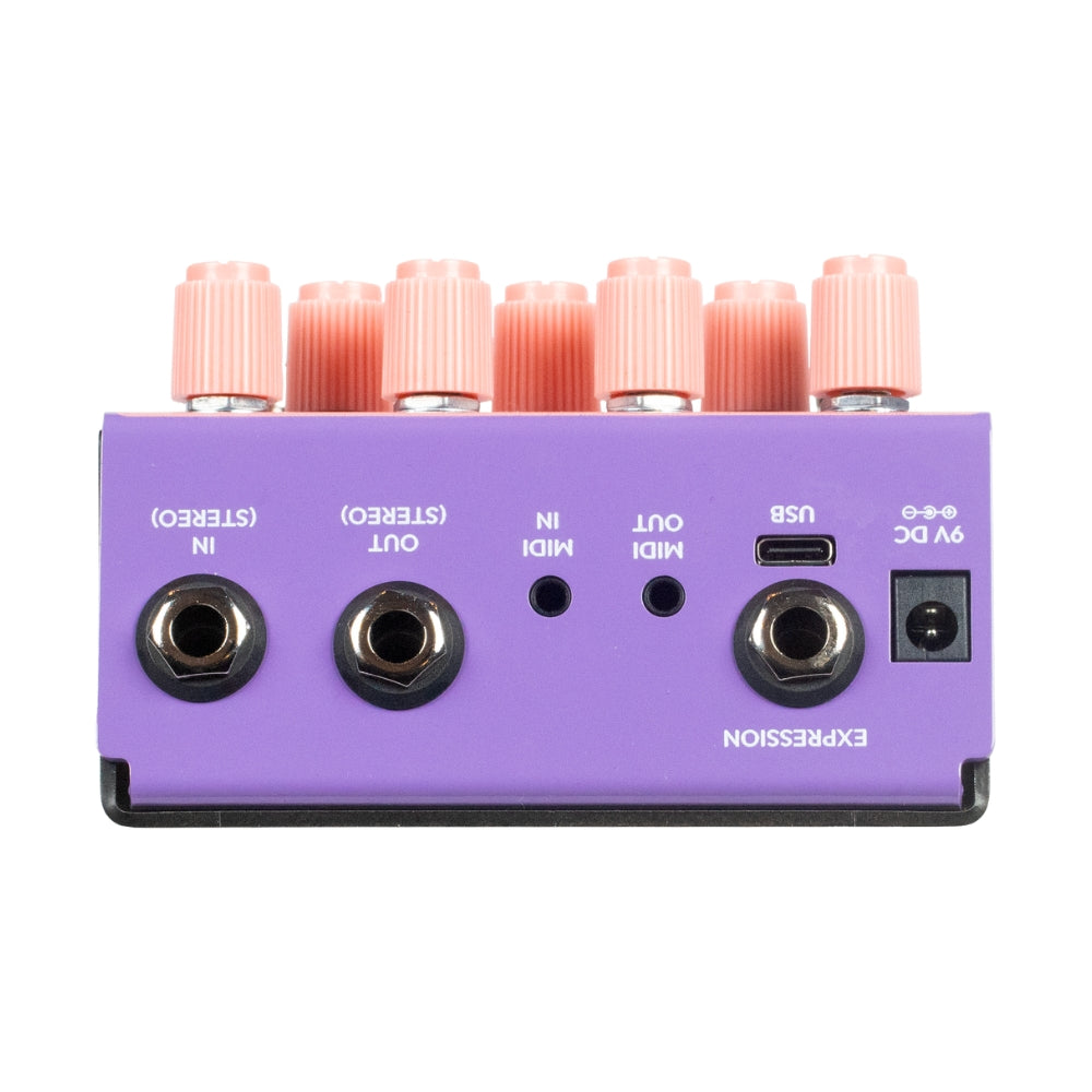 Old Blood Noise Bathing Delay Orchid Back on a White Background