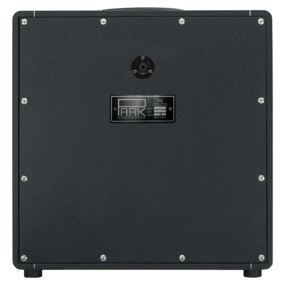 Rear port view of Park SA-112 (Angled Grill) Speaker Cabinet on white background