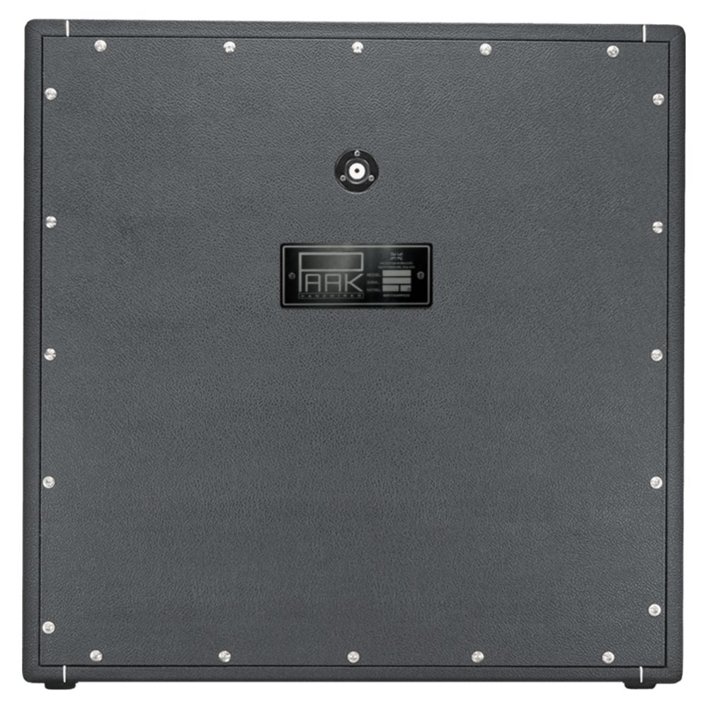 Rear port view of Park SA-412 (Angled Grill) Speaker Cabinet on white background