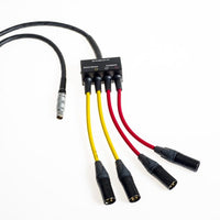 Front view of Pearl Microphone Labs DS 70 XLR Cable on white background