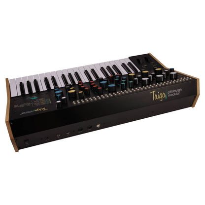 Angled top ports view of Pittsburgh Modular Taiga Keyboard Expandable Analog Synthesizer on white background