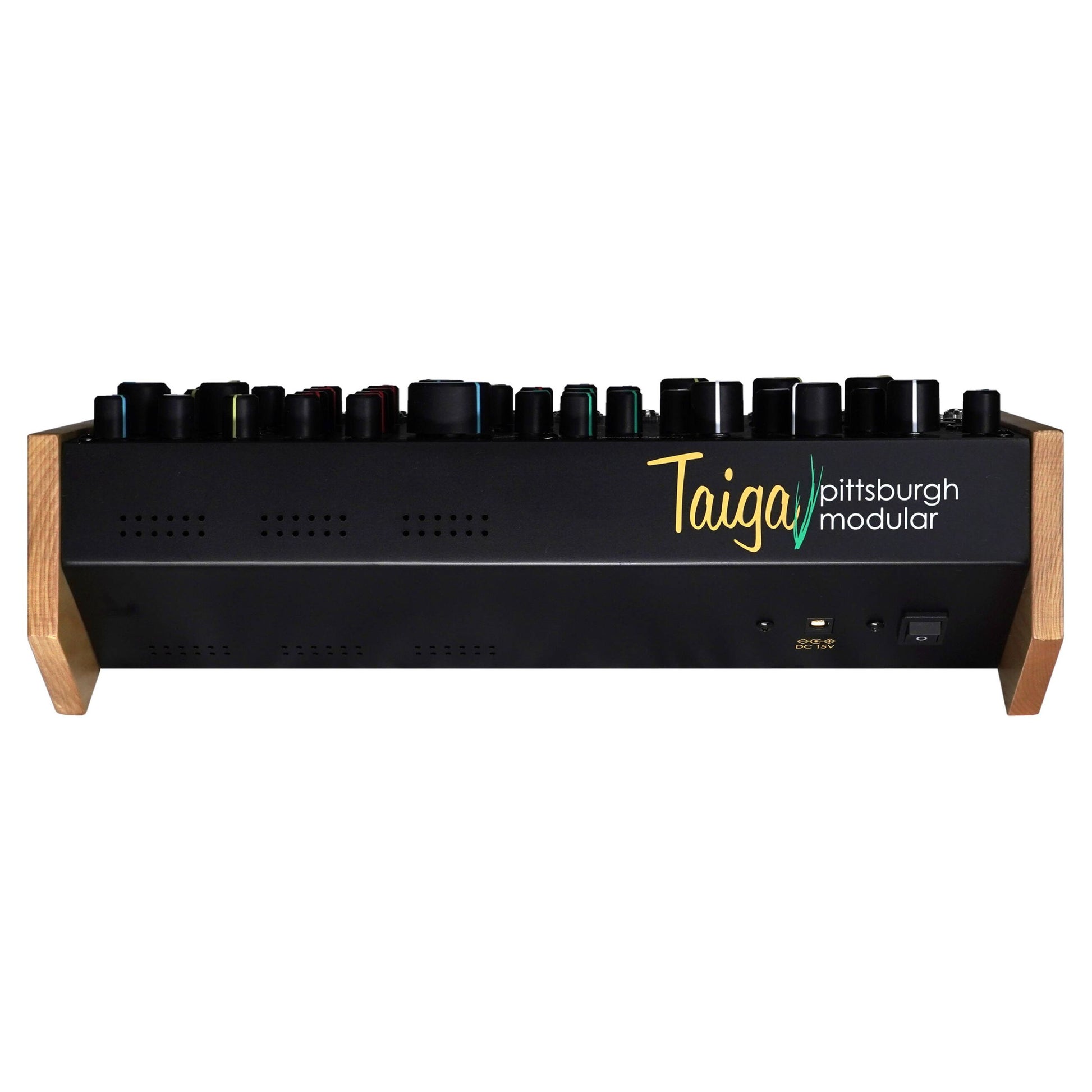 Rear ports view of Pittsburgh Modular Taiga Paraphonic Modular Synthesizer on white background