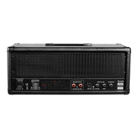 Rear view of Randall RG1003H Guitar Amplifier Head on white background