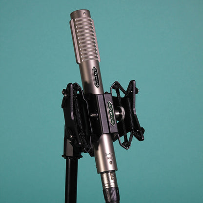 Royer R-122 MKII Microphone