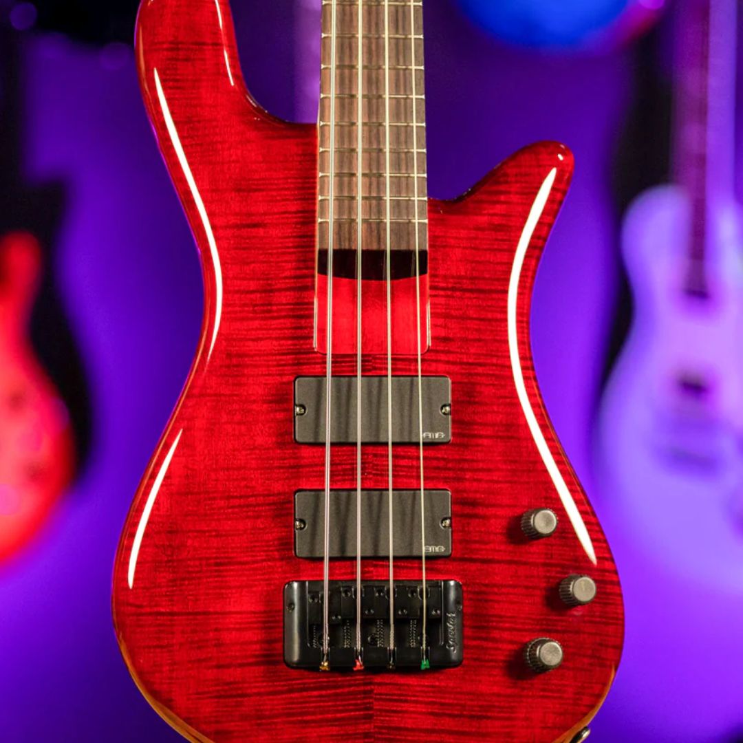 Close up front view of Spector Bantam 4 Short-Scale Bass Guitar Black Cherry with guitars in the background