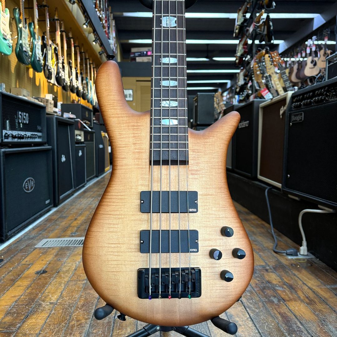 Close up front view of Spector Euro 5 LX Bass Guitar Natural Sunburst in music store