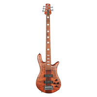 Front view of Spector Euro 5 RST Bass Guitar Sienna Stain Matte on white background