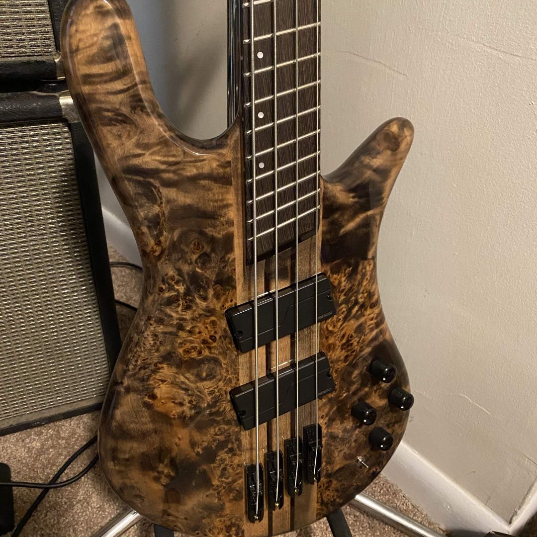 Close up front view of Spector NS Dimension 4-String Bass Guitar Super Faded Black Gloss in studio