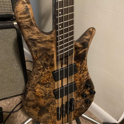 Close up front view of Spector NS Dimension 4-String Bass Guitar Super Faded Black Gloss in studio