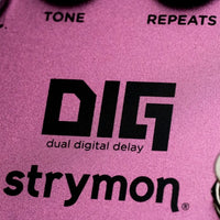 Close up view of Strymon DIG