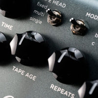 Close up view of Strymon El Capistan