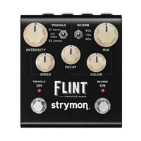 Front view of Strymon Flint V2 on white background