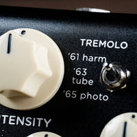 Close up view of Strymon Flint V2 on brown background