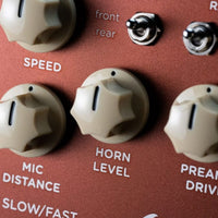 Close up view of Strymon Lex