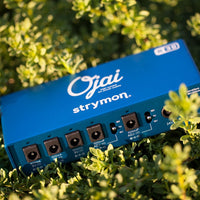 Front view of Strymon Ojai R30 on plants