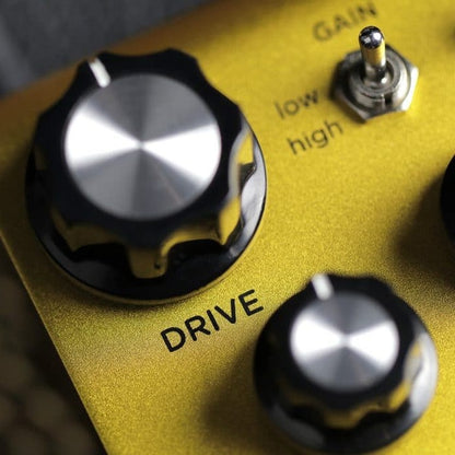 Close up view of Strymon Riverside