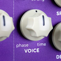 Close up view of Strymon Zelzah