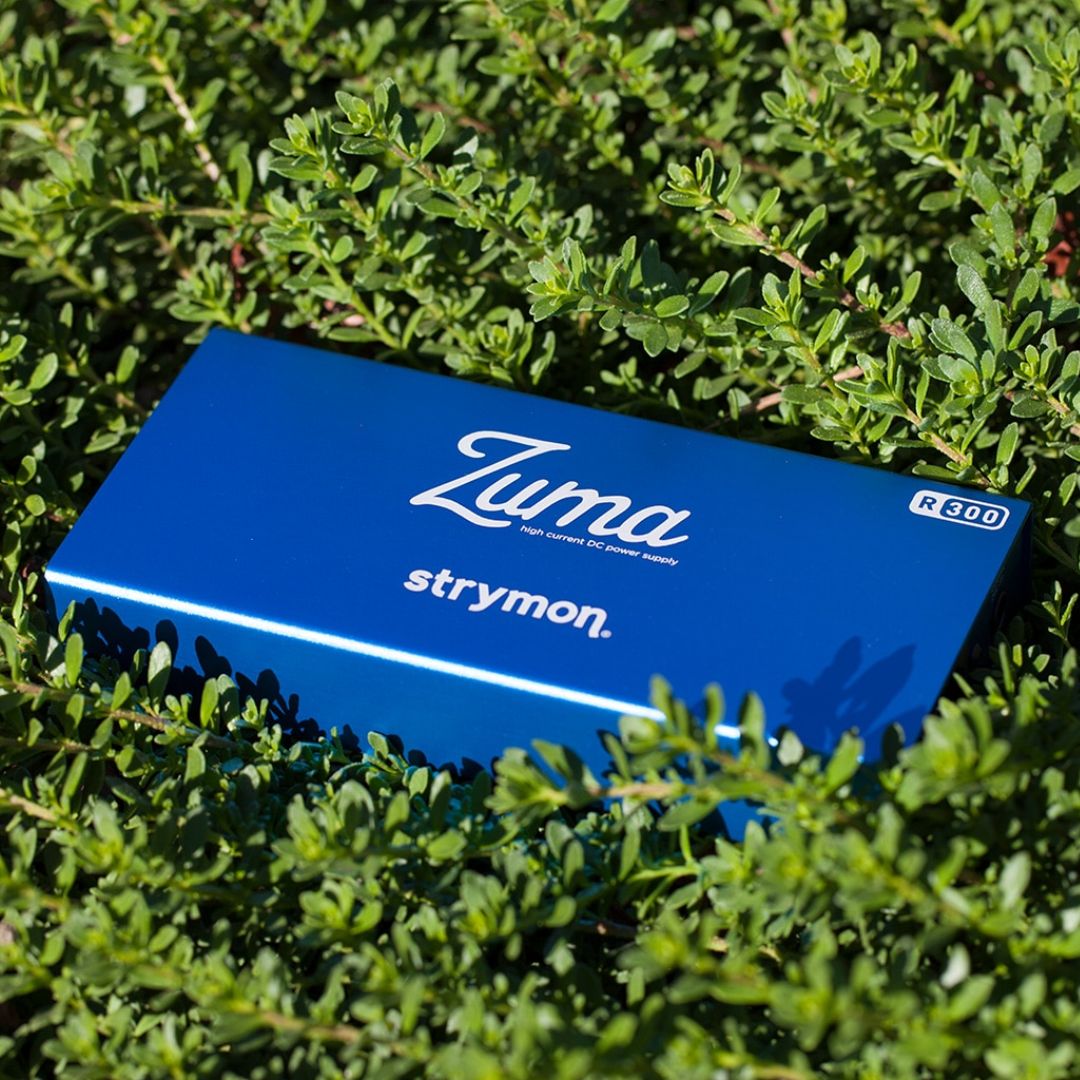 Top view of Strymon Zuma R300 on grass